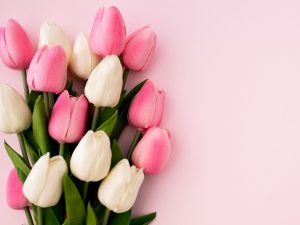 aktualnoscipb-dzień-kobiet-2020